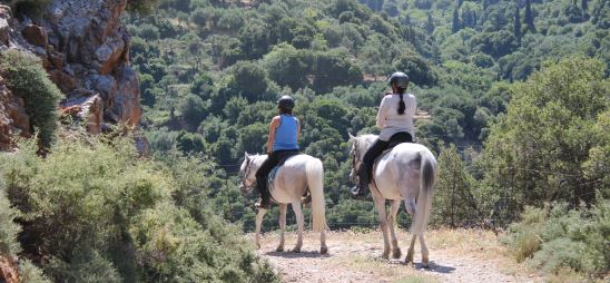 Horse riding in Greece Crete Island Odysseia Stables